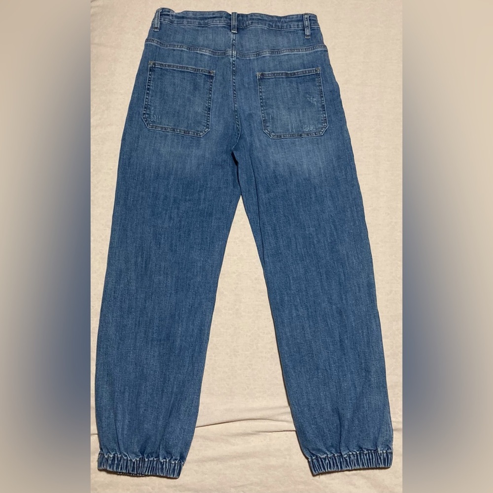 DRIFTWOOD Jogger Relaxed Blue Jeans - Picture 3 of 16